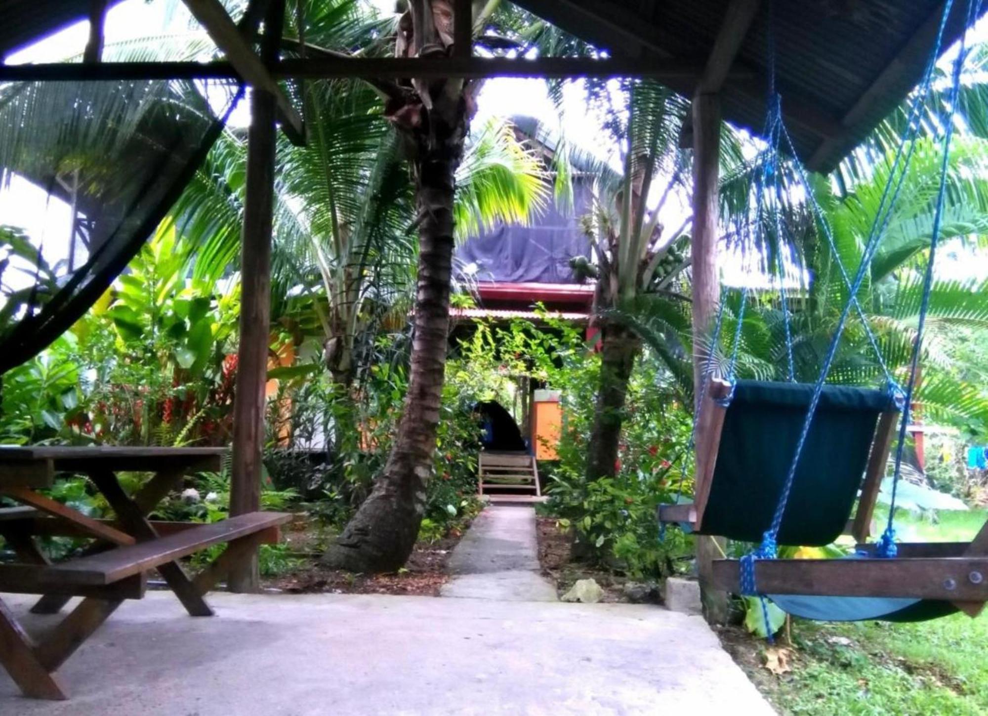 Hotel La Y Surf Camp Bocas del Toro Exterior foto